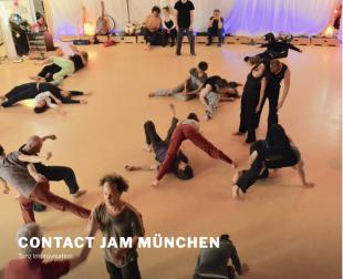 Contact Impro Jam - Freitags-Jam - My Turn Dancestudio (Freitänzer) München - München, Germany