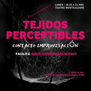 TEJIDOS PERCEPTIBLES - Teatro Montelaegre - Valparaíso, Chile