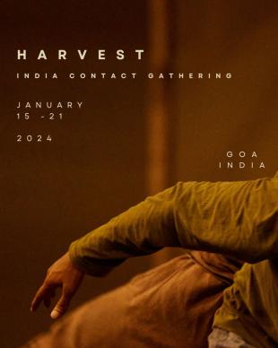 Harvest - India Contact Gathering - Golden Pyramid - Arambol, India