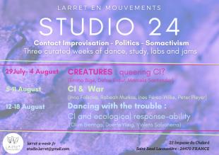 studio 24: 3 week long jam in Larret - Larret - Saint Saude La coussiere, France
