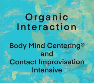 Organic Interaction - Body Mind Centering® und Contact Improvisation Intensive - SerVivo - Palmela, Portugal