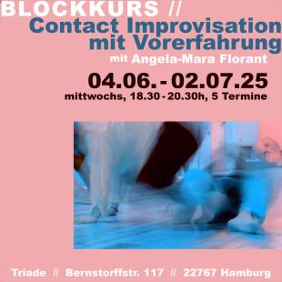 CI Blockkurs mit Vorerfahrung - TRIADE – Center for Dance, Improvisation and Performance  - Hamburg, Germany