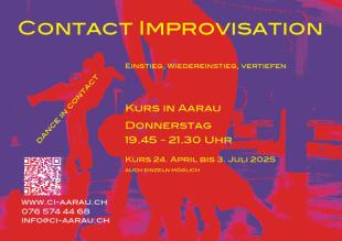 CI Donnerstags Class - aikido-zentrum-aarau - Aarau, Switzerland