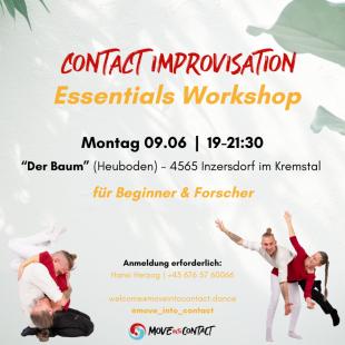 CI - Essentials - Der Baum - Inzersdorf im Kremstal - Inzersdorf - Kremstal, Austria