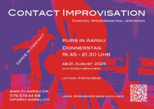 CI Donnerstags Class - Aikido Zentrum Aarau - Aarau, Switzerland