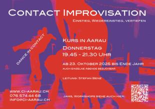 CI Donnerstags Class - Aikido Zentrum Aarau - Aarau, Switzerland