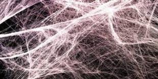 Contactimprovisation: Thema Faszien - ZeB Zentrum Bewegung - Thalwil, Switzerland