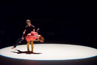 CI through the lens of  perception, action and imagination - Samdrubling Studio Wien - Wien, Austria