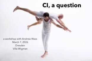 CI, a Question - VILLA WIGMAN - Dresden, Germany