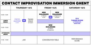CI Immersion '26 - Ghent (BE) - Danspunt - Ghent (BE) - Ghent, Belgium
